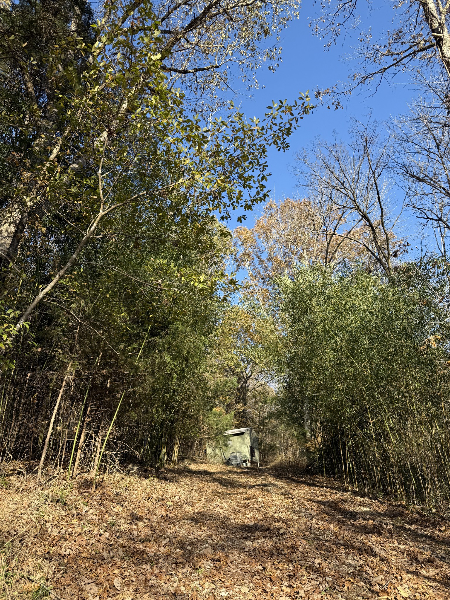 0 Toll Dugger Road Culleoka, TN 38451 - Photo 41 of 93 a view of outdoor space and yard