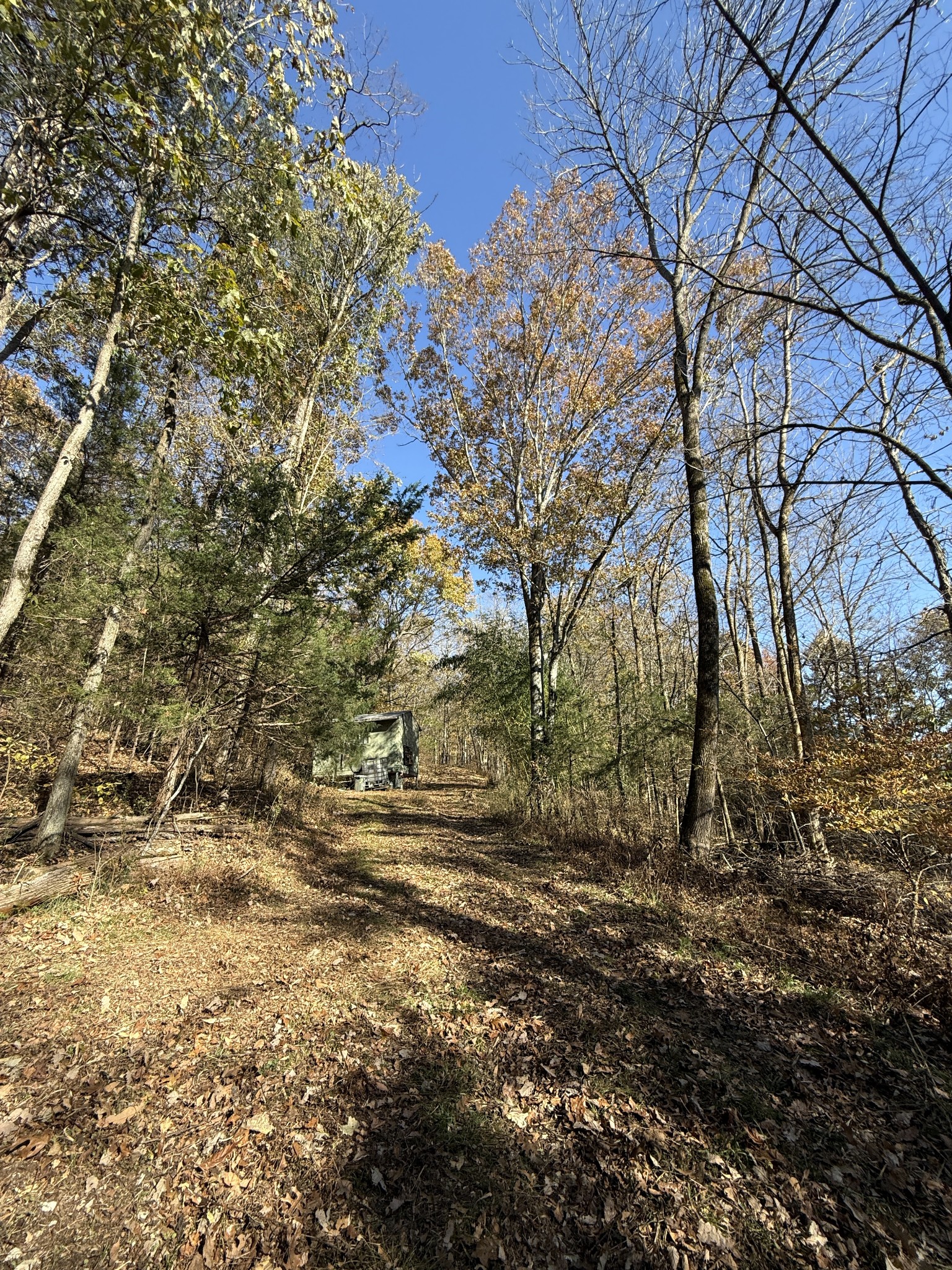 0 Toll Dugger Road Culleoka, TN 38451 - Photo 43 of 93