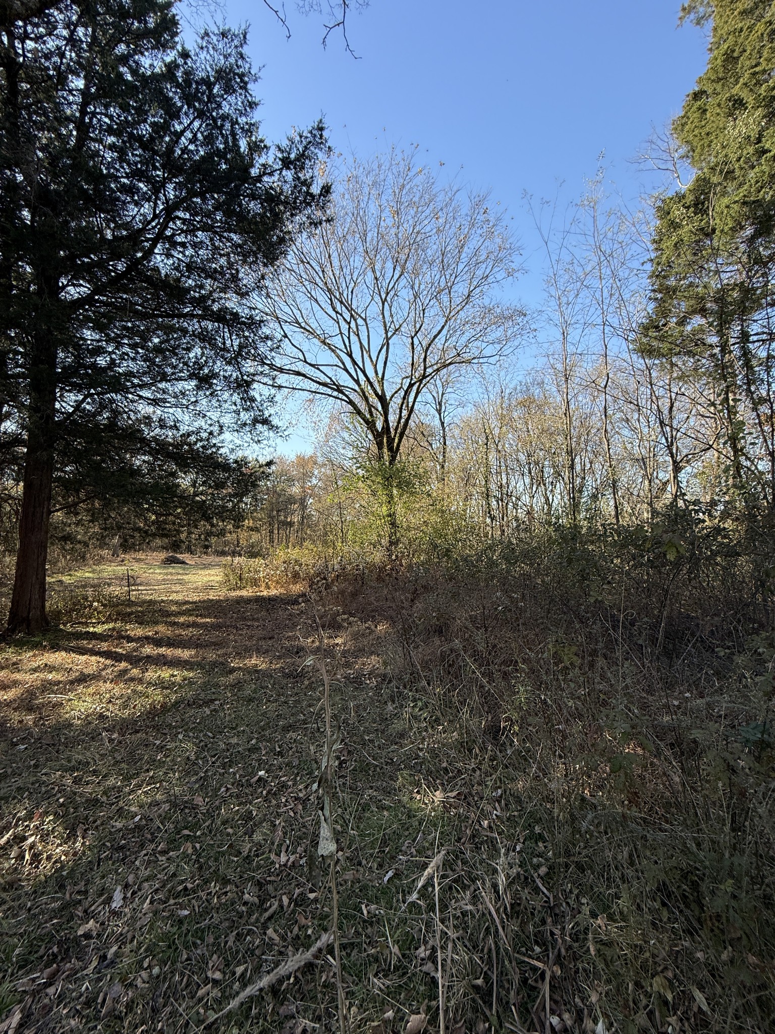 0 Toll Dugger Road Culleoka, TN 38451 - Photo 53 of 93