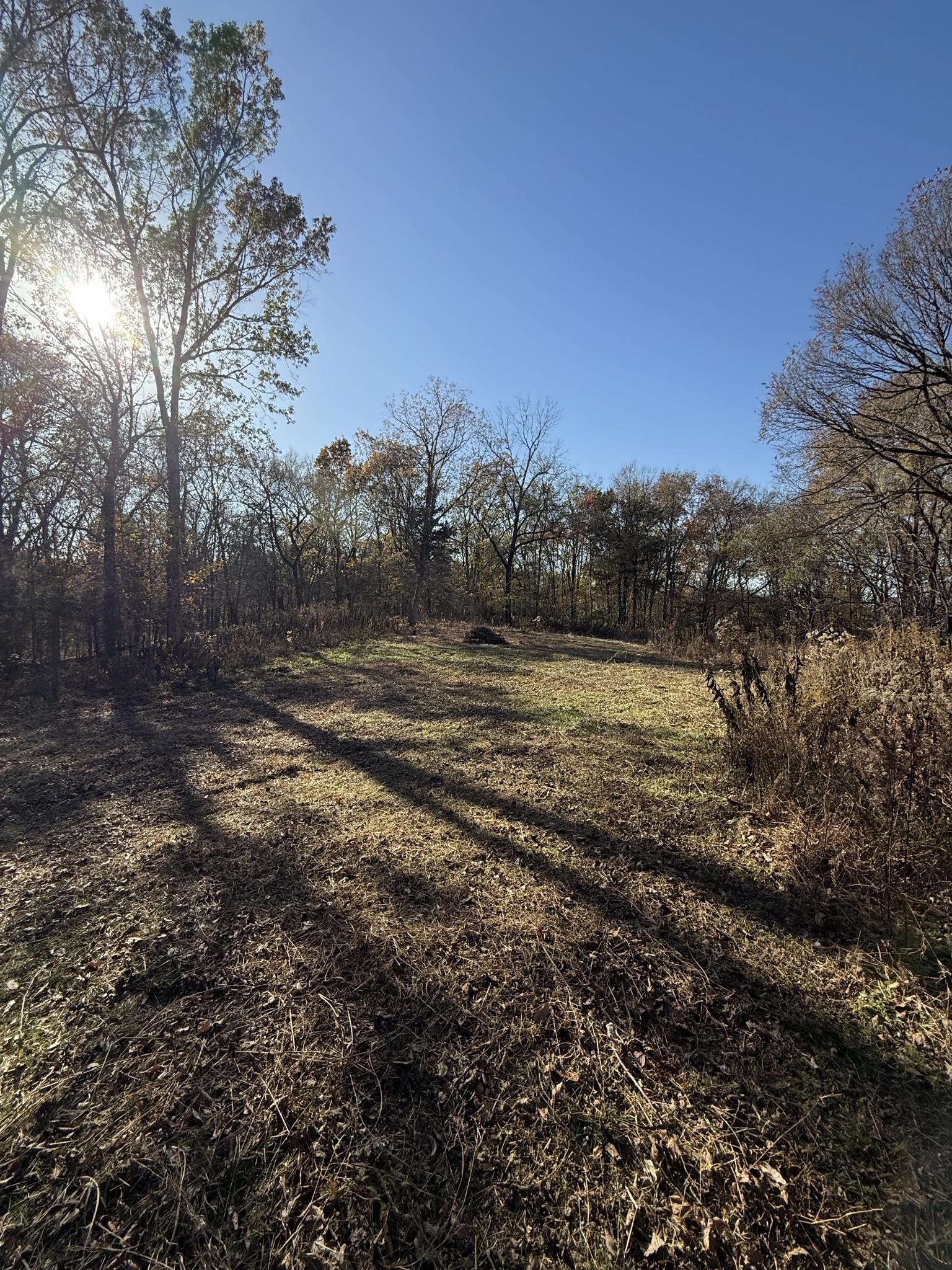 0 Toll Dugger Road Culleoka, TN 38451 - Photo 54 of 93 a view of dirt field with trees around