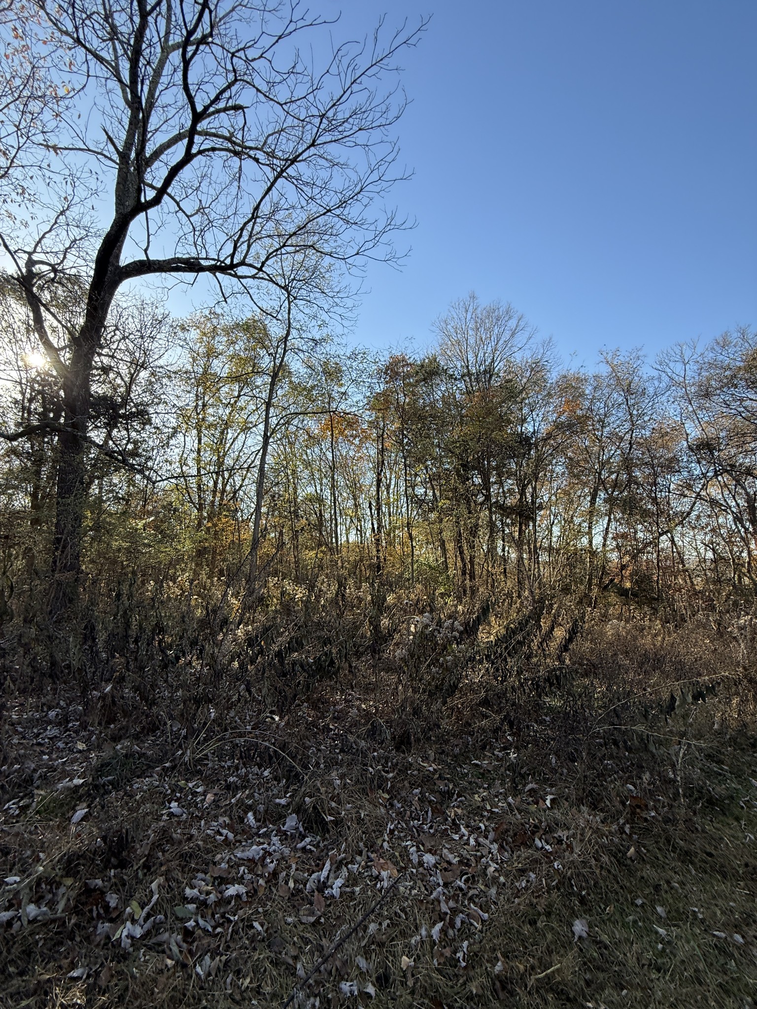 0 Toll Dugger Road Culleoka, TN 38451 - Photo 56 of 93