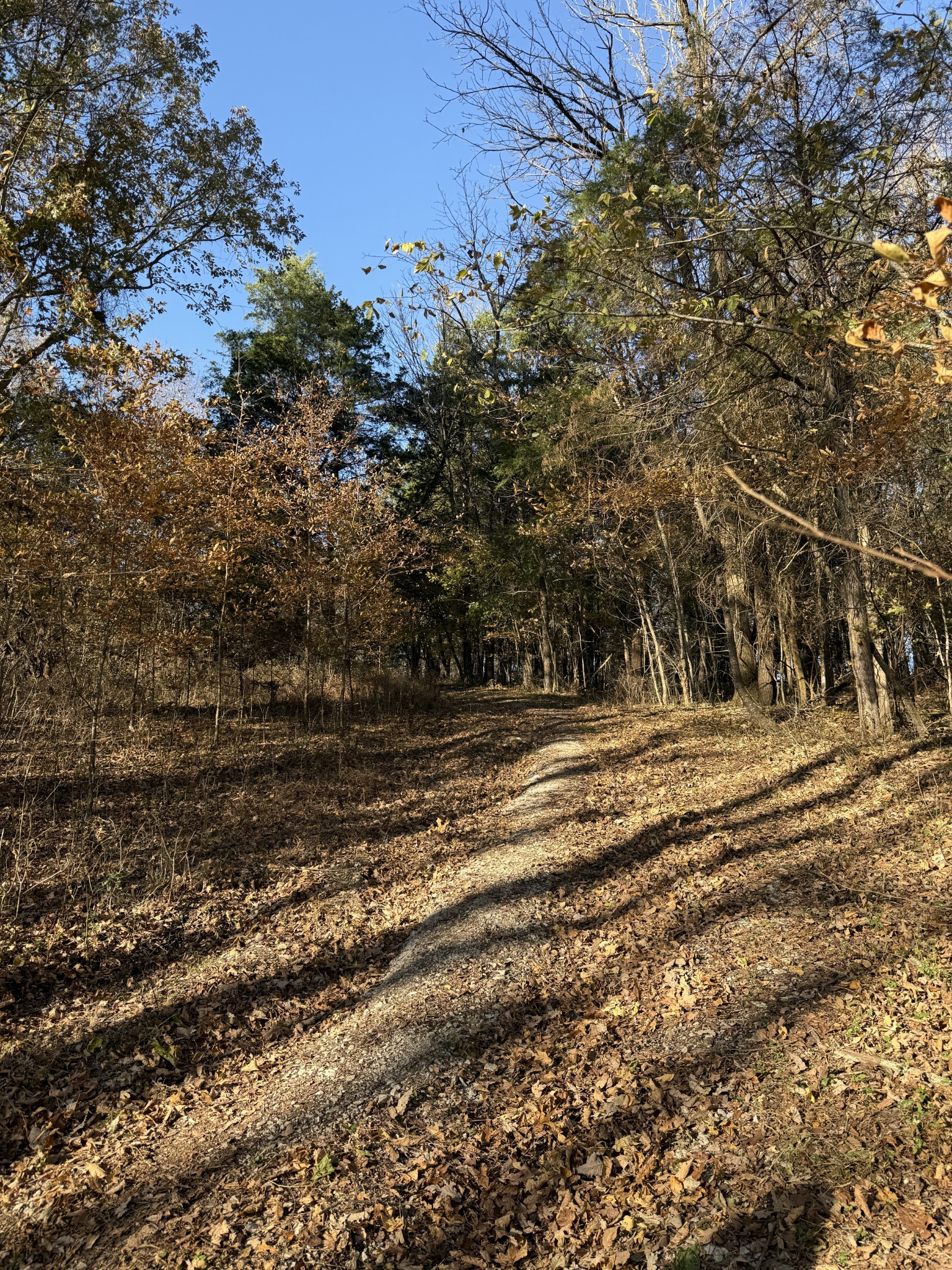 0 Toll Dugger Road Culleoka, TN 38451 - Photo 57 of 93