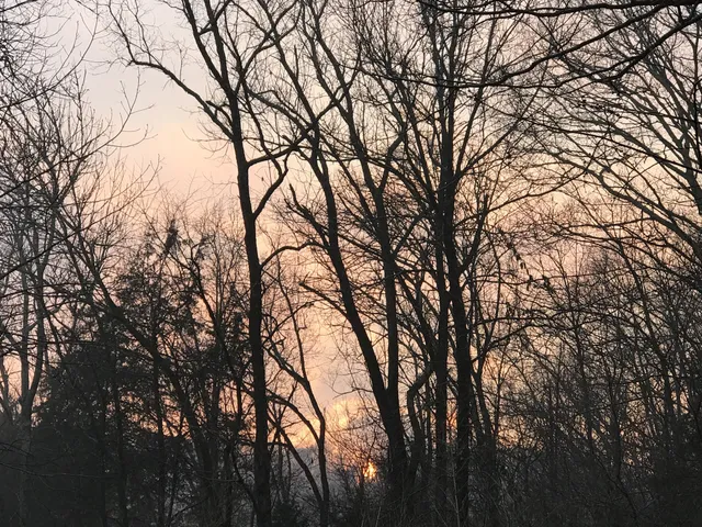 $210,000 | 0 Toll Dugger Road, Culleoka, TN 38451