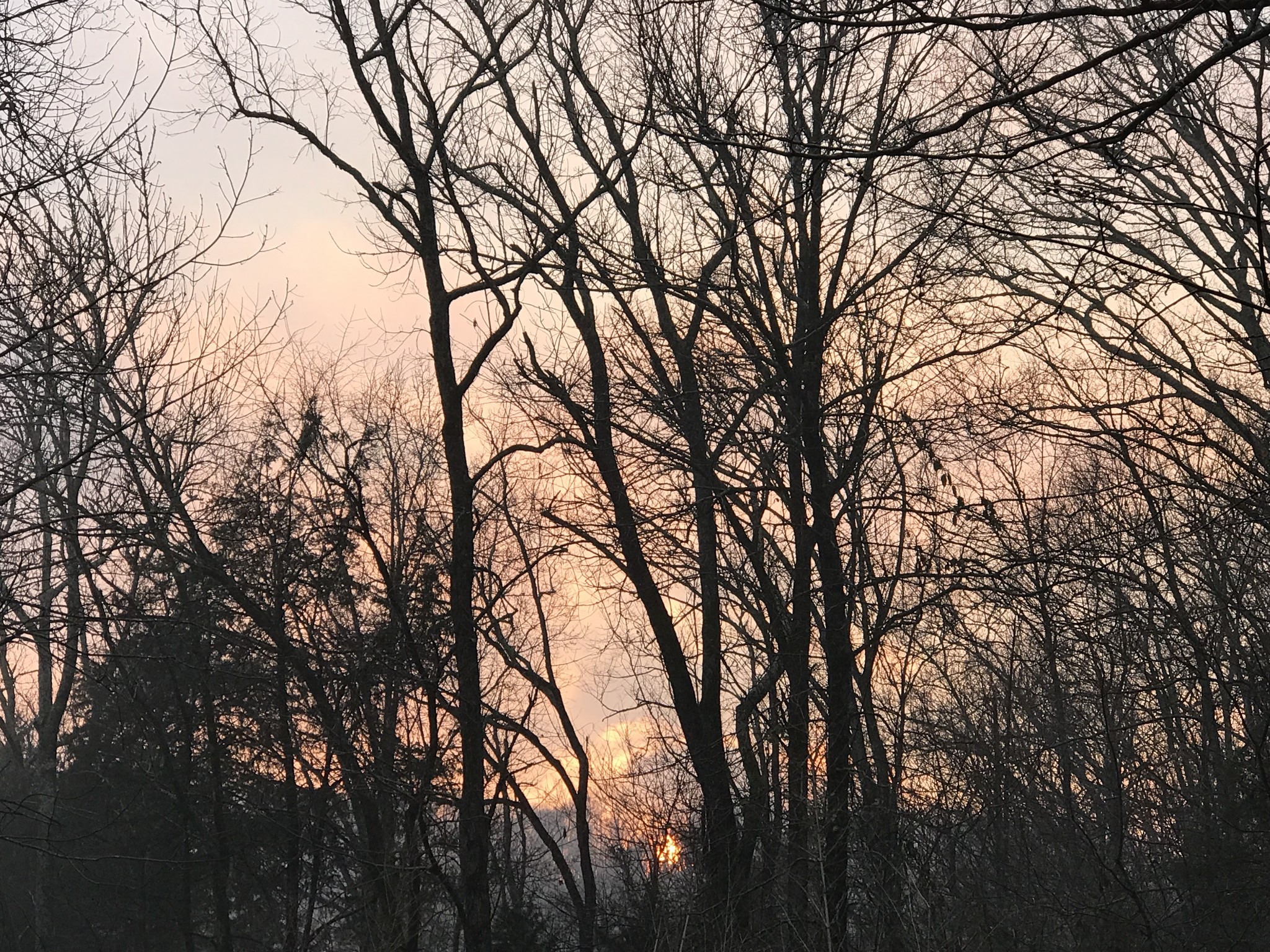 0 Toll Dugger Road Culleoka, TN 38451 - Photo 58 of 93