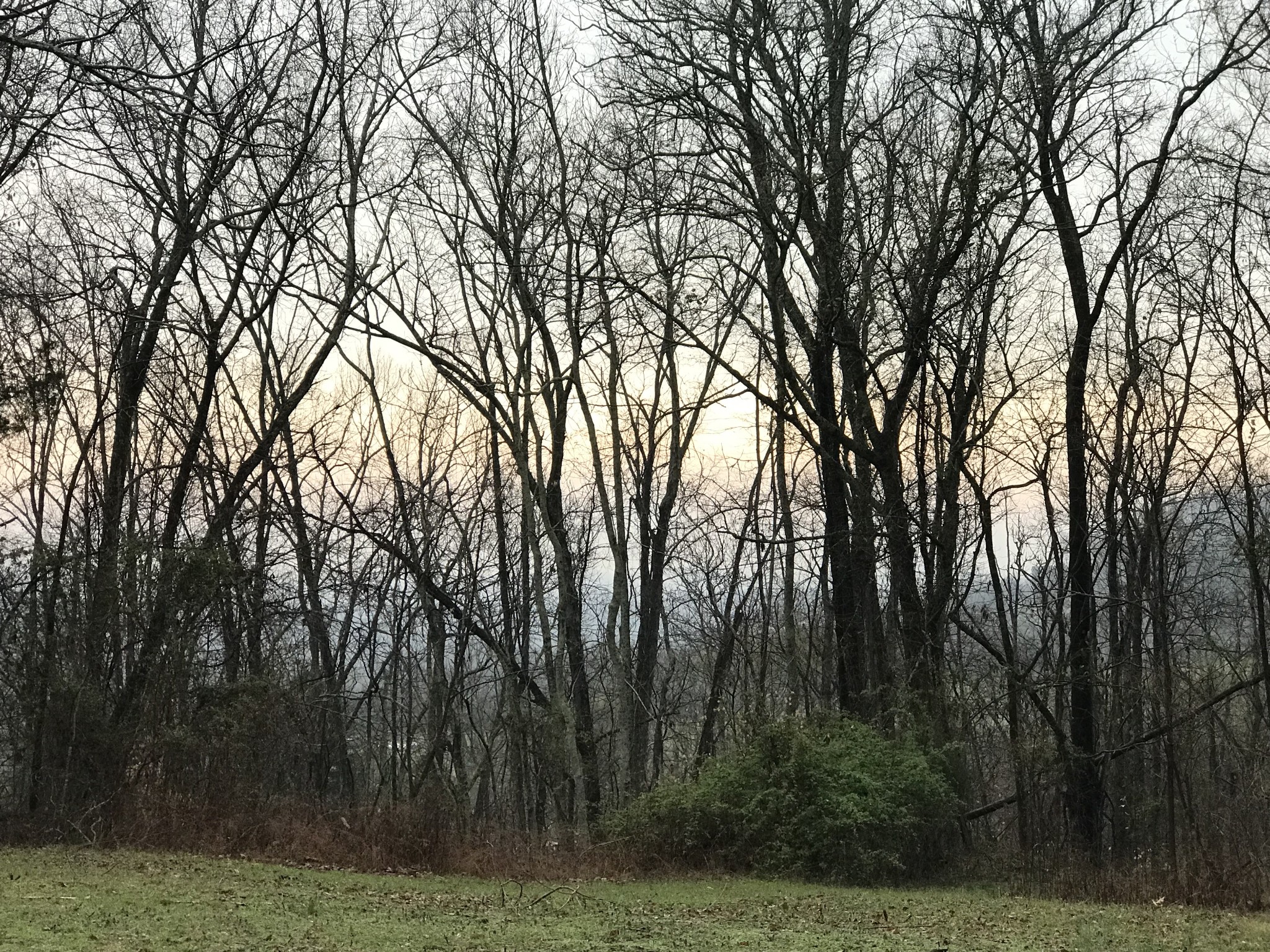 0 Toll Dugger Road Culleoka, TN 38451 - Photo 59 of 93