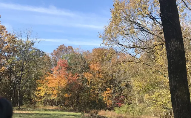 $210,000 | 0 Toll Dugger Road, Culleoka, TN 38451