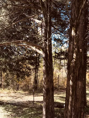 $210,000 | 0 Toll Dugger Road, Culleoka, TN 38451