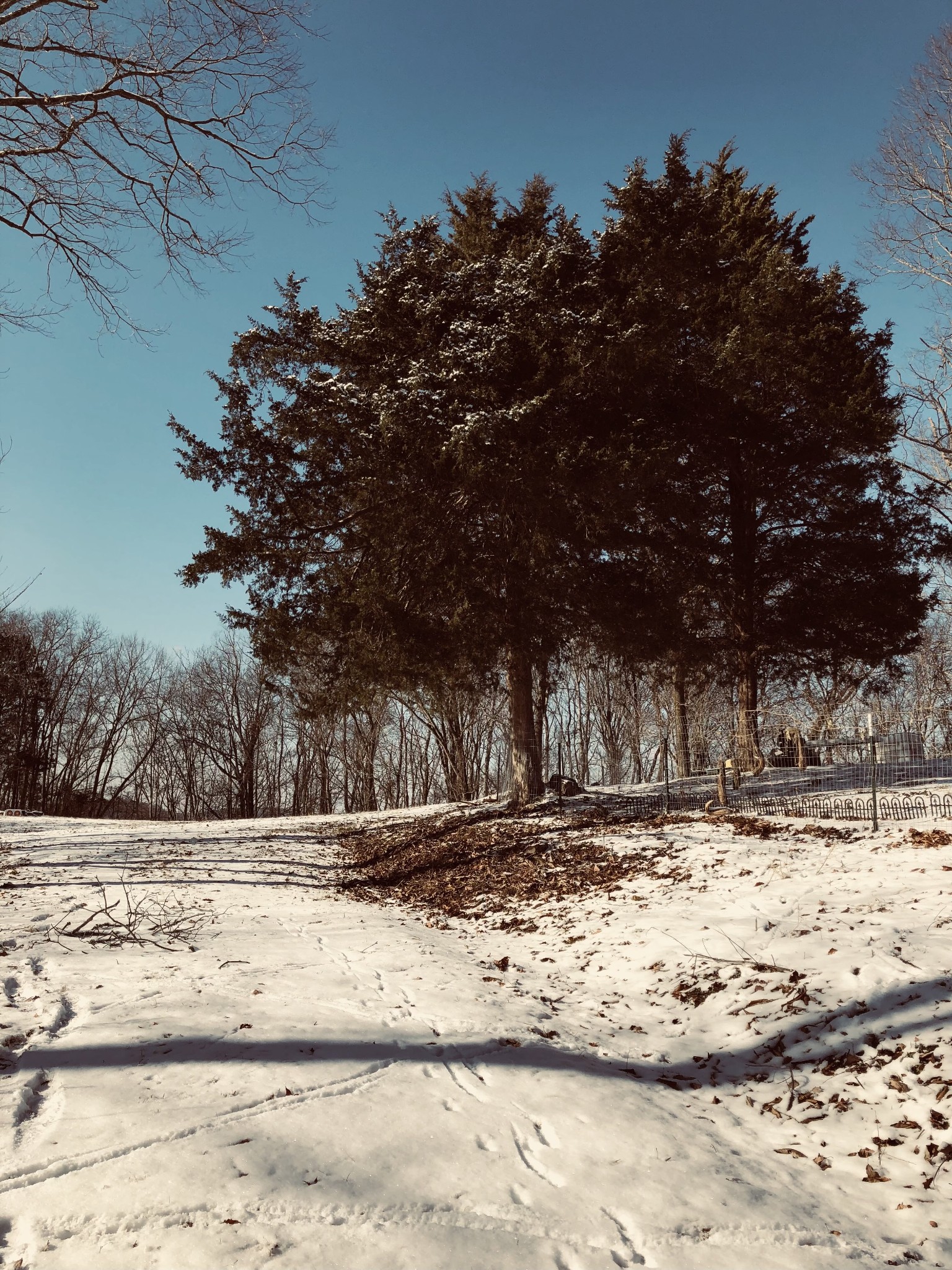 0 Toll Dugger Road Culleoka, TN 38451 - Photo 68 of 93 a view of a yard with snow on the road