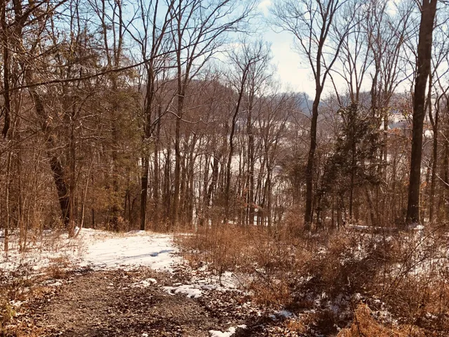 $210,000 | 0 Toll Dugger Road, Culleoka, TN 38451