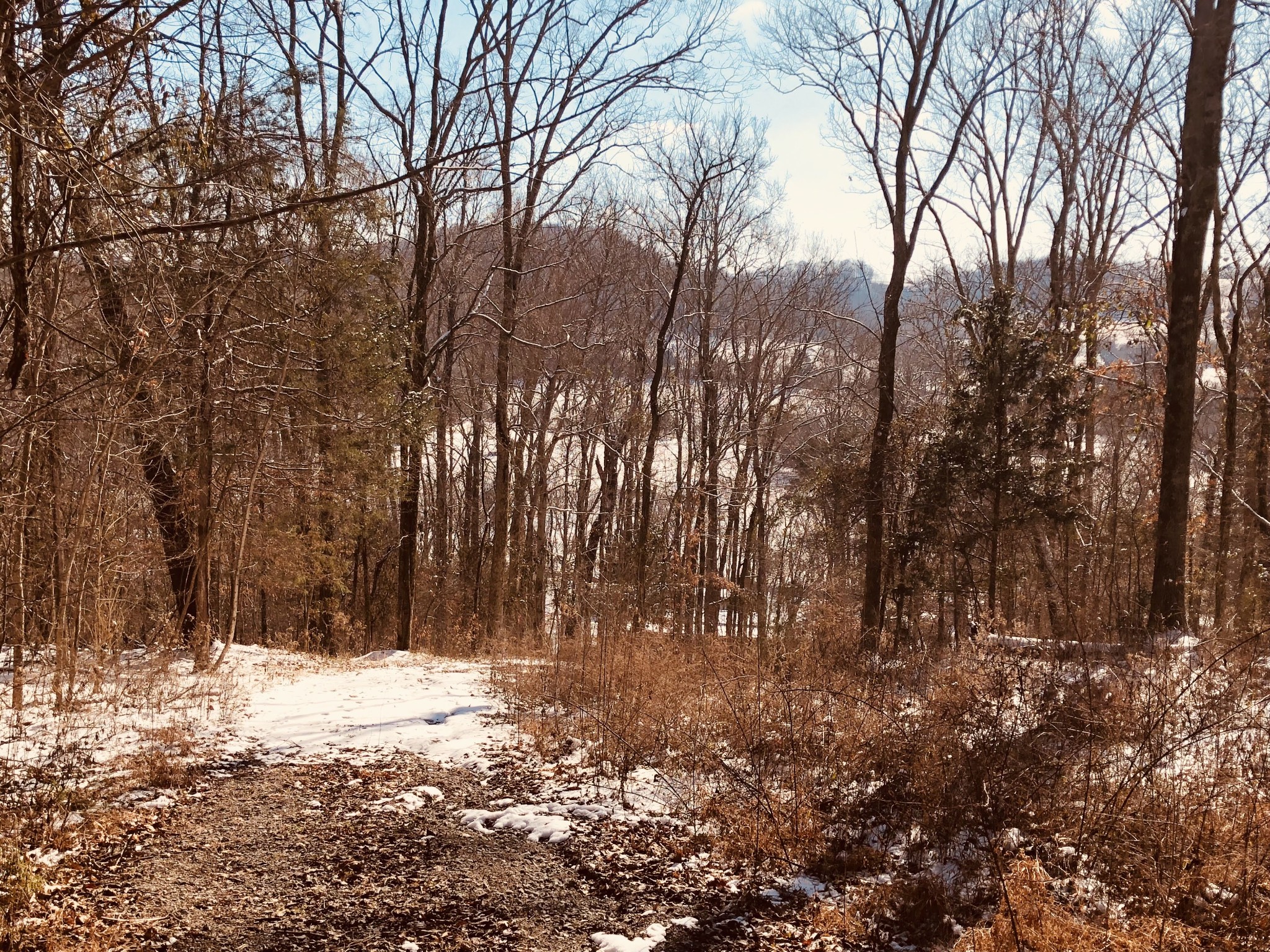 0 Toll Dugger Road Culleoka, TN 38451 - Photo 69 of 93