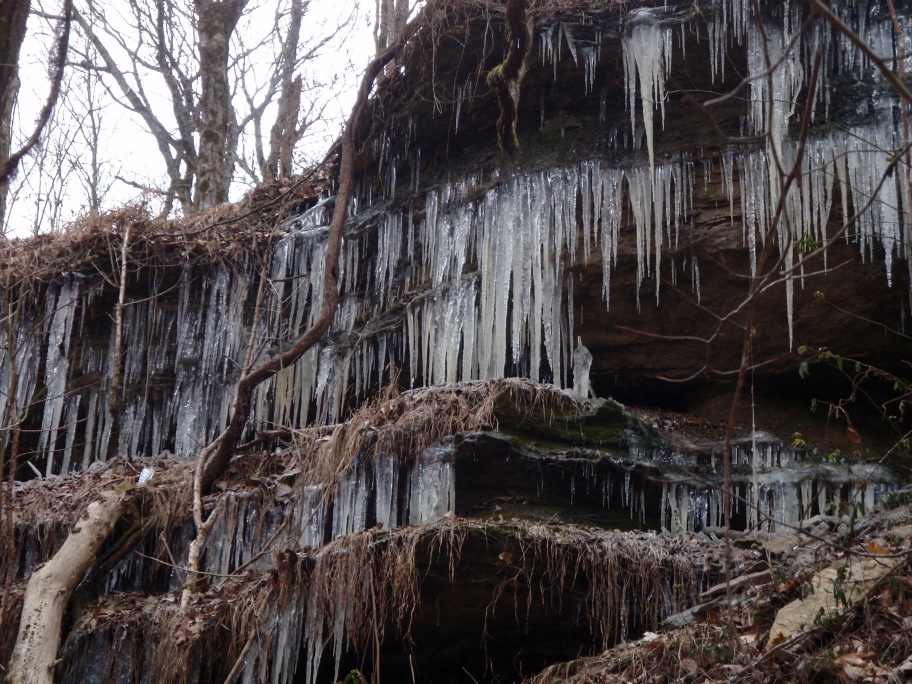 0 Toll Dugger Road Culleoka, TN 38451 - Photo 72 of 93