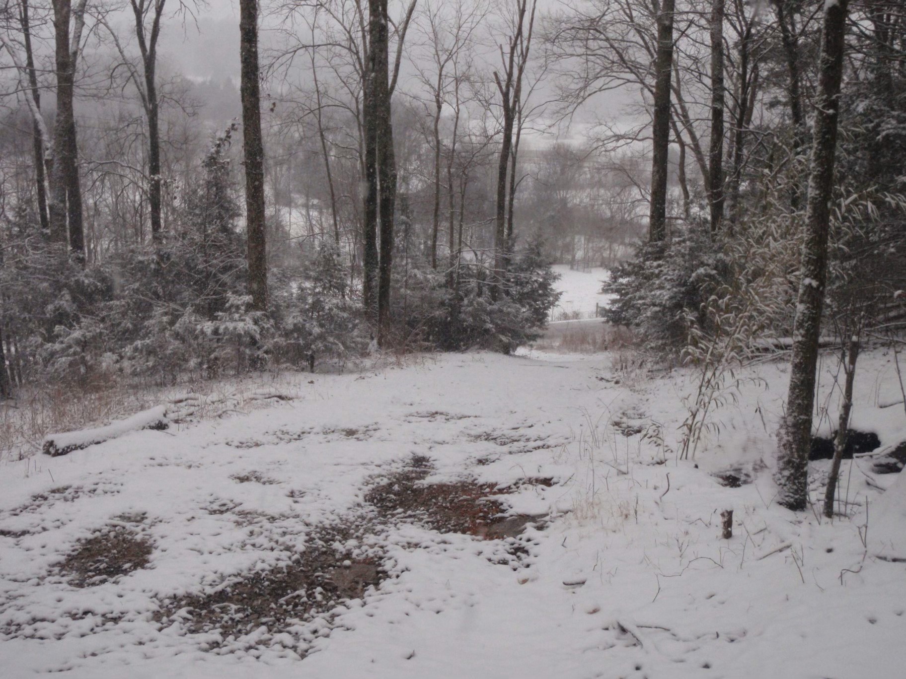 0 Toll Dugger Road Culleoka, TN 38451 - Photo 74 of 93