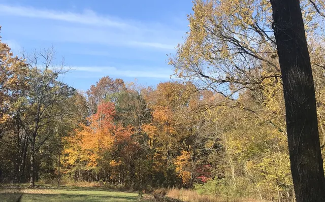 $210,000 | 0 Toll Dugger Road, Culleoka, TN 38451