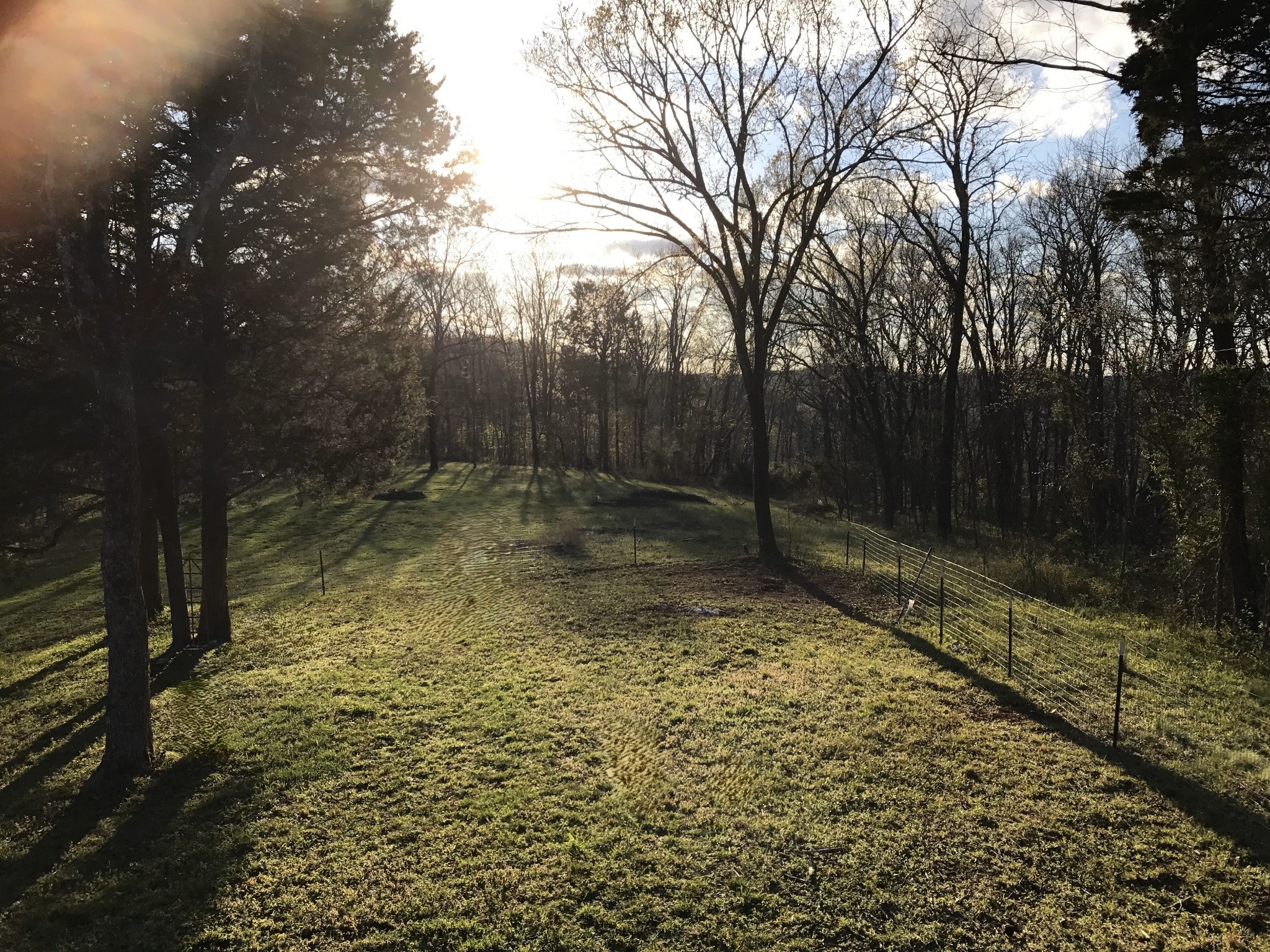 0 Toll Dugger Road Culleoka, TN 38451 - Photo 77 of 93 a view of outdoor space and garden