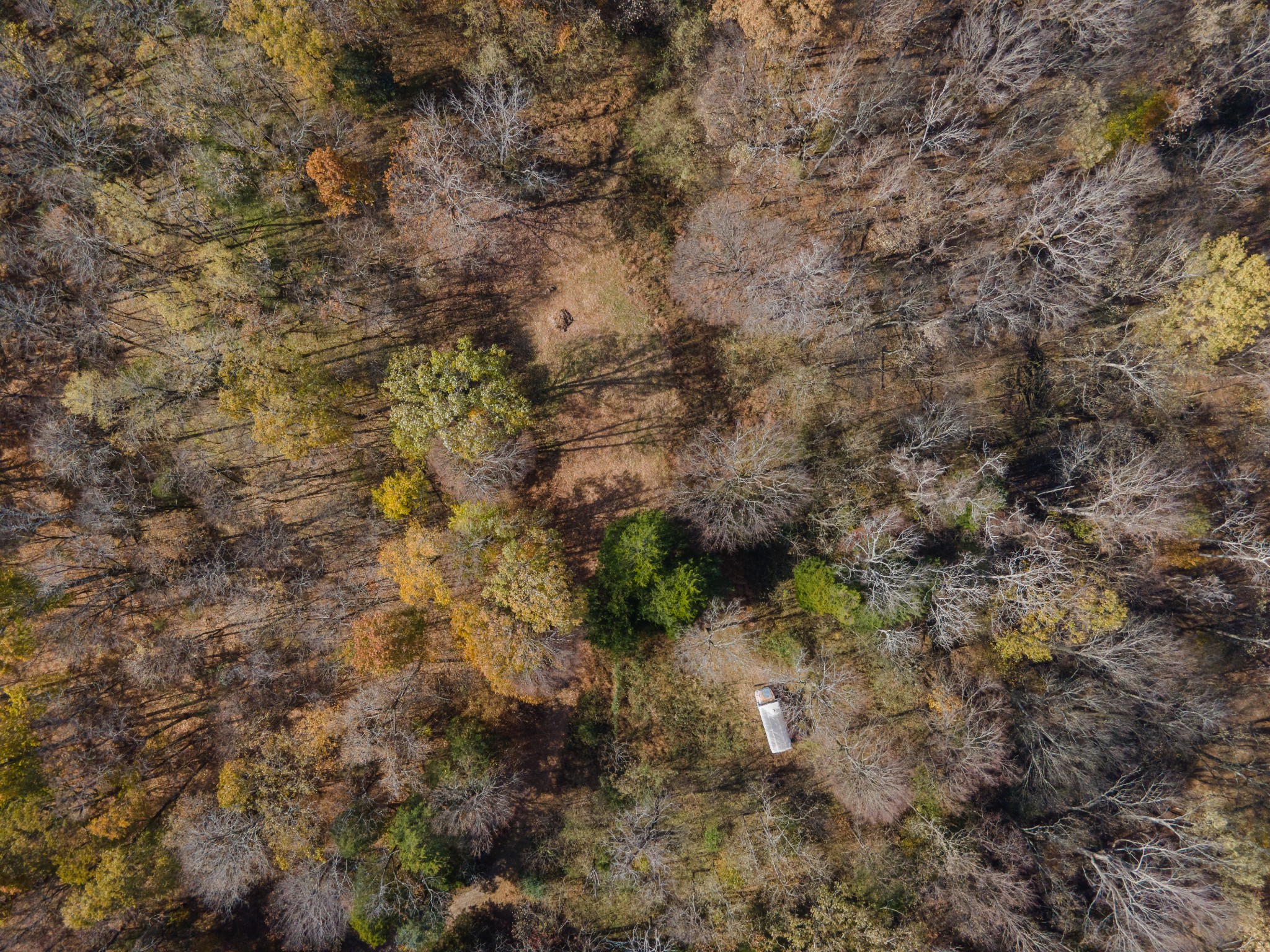 0 Toll Dugger Road Culleoka, TN 38451 - Photo 8 of 93