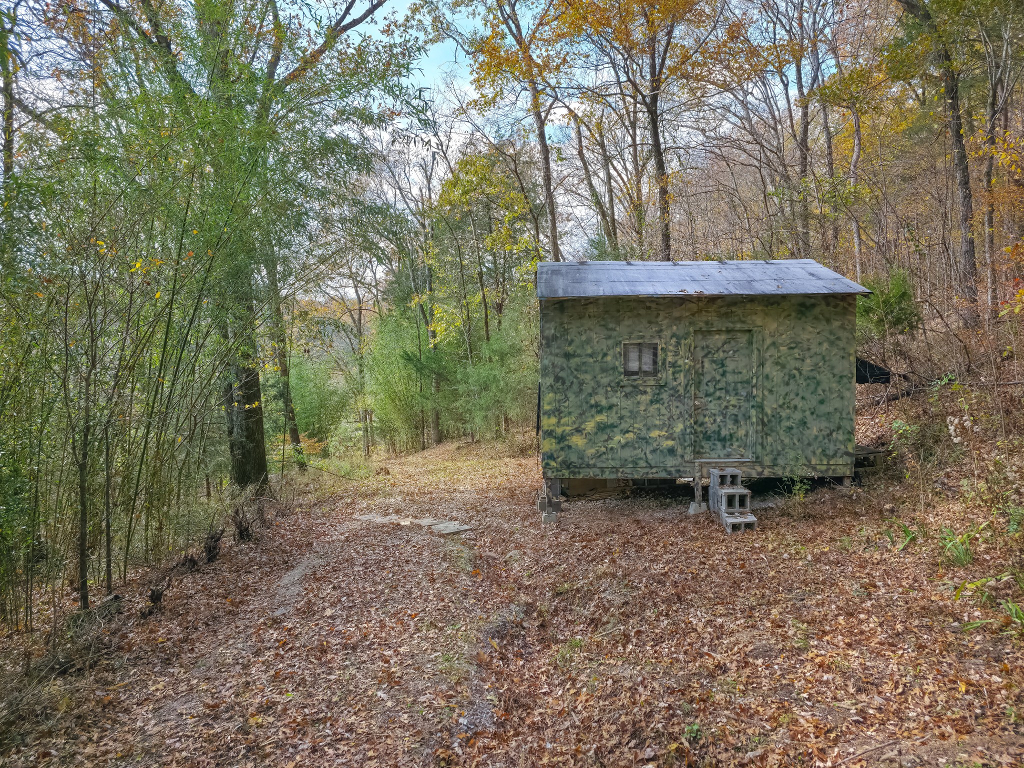 0 Toll Dugger Road Culleoka, TN 38451 - Photo 86 of 93 a view of a garden with large trees
