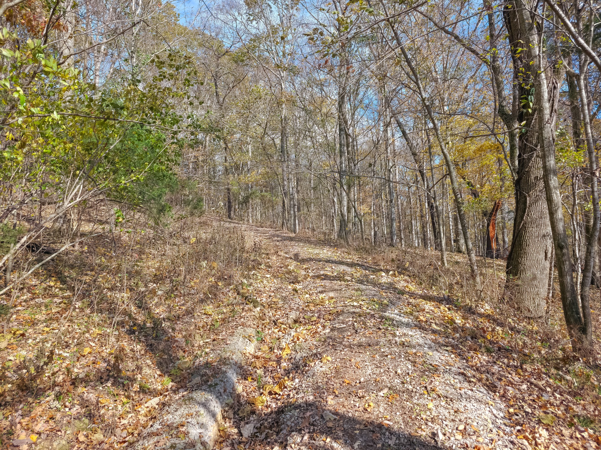 0 Toll Dugger Road Culleoka, TN 38451 - Photo 87 of 93