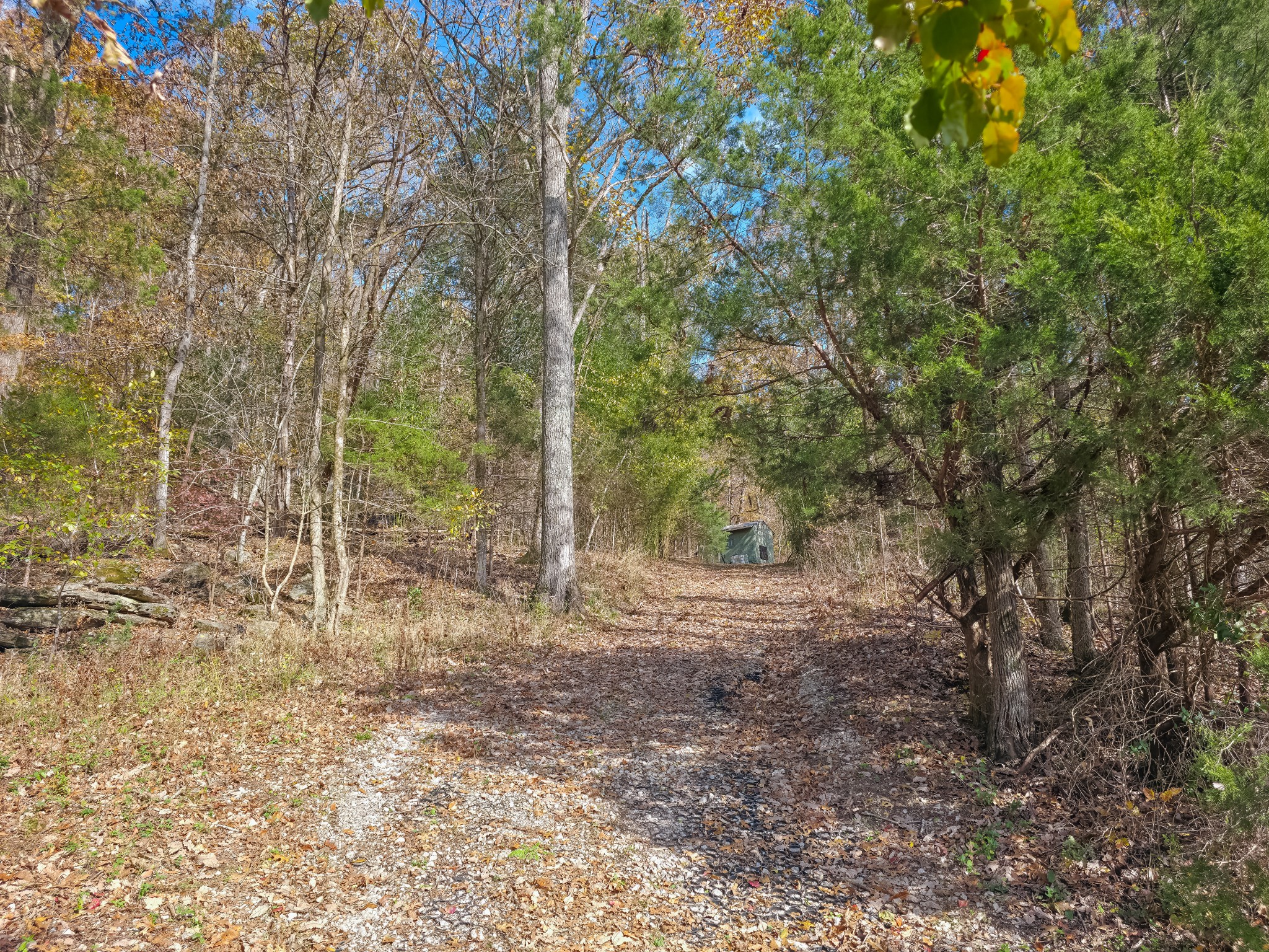 0 Toll Dugger Road Culleoka, TN 38451 - Photo 88 of 93