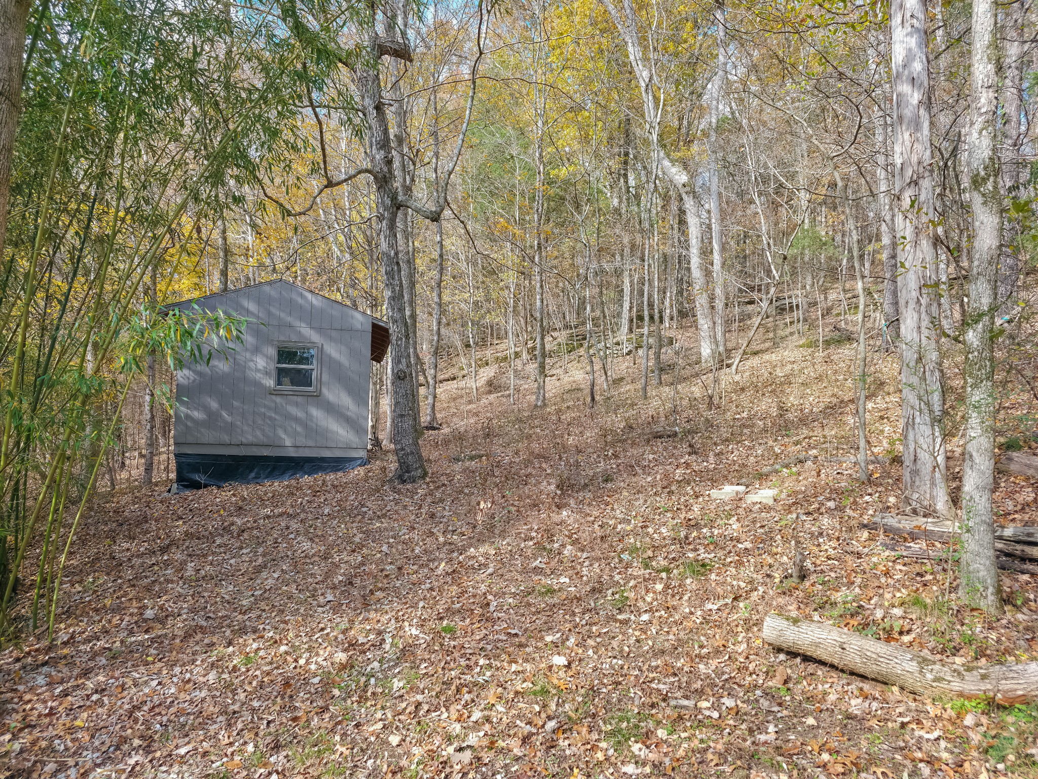 0 Toll Dugger Road Culleoka, TN 38451 - Photo 90 of 93 a backyard of a house with lots of green space