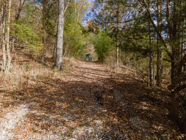 a big yard with lots of green space and plants