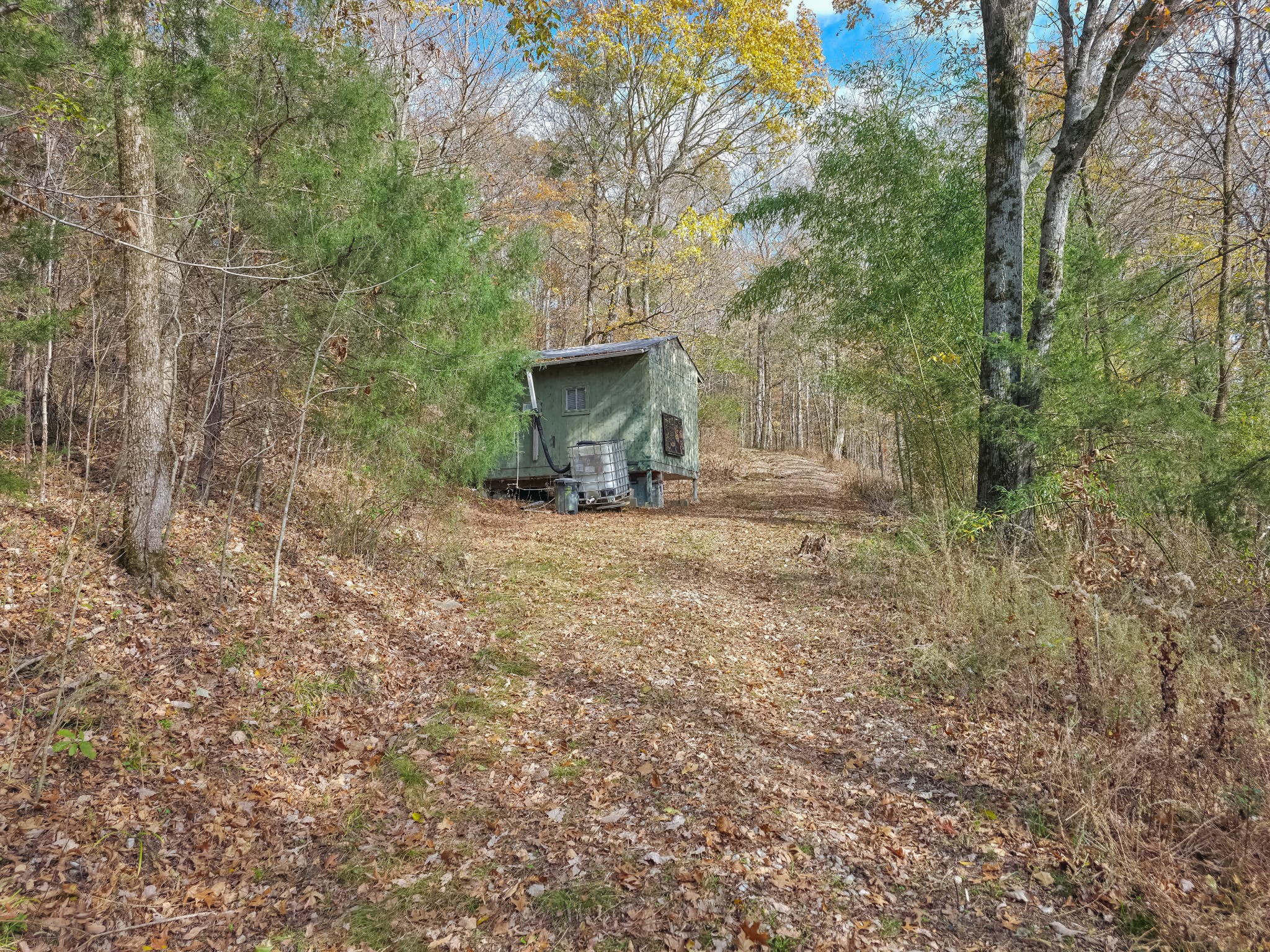 0 Toll Dugger Road Culleoka, TN 38451 - Photo 91 of 93 a view of a backyard with large trees