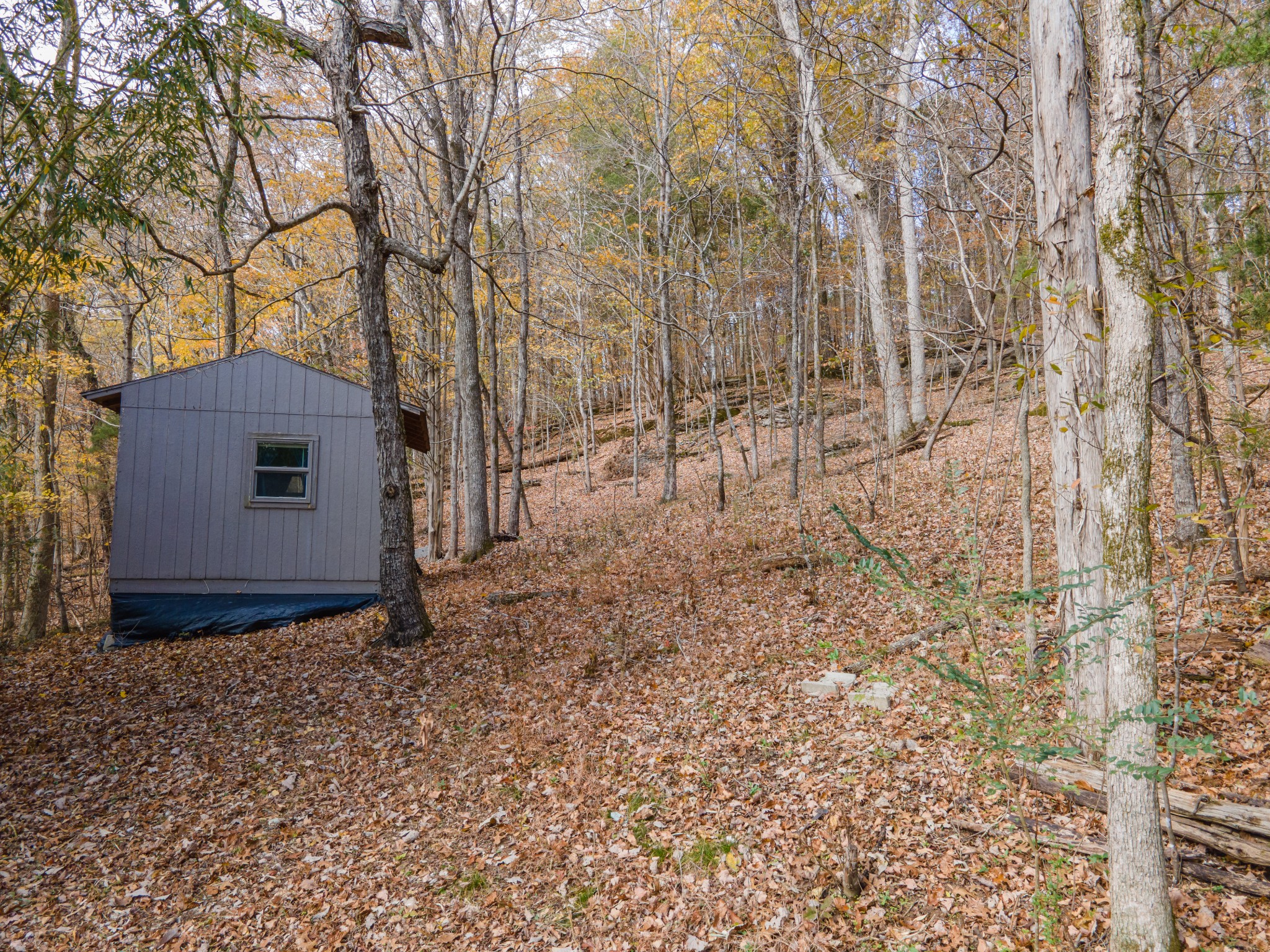0 Toll Dugger Road Culleoka, TN 38451 - Photo 93 of 93 a view of a backyard of the house