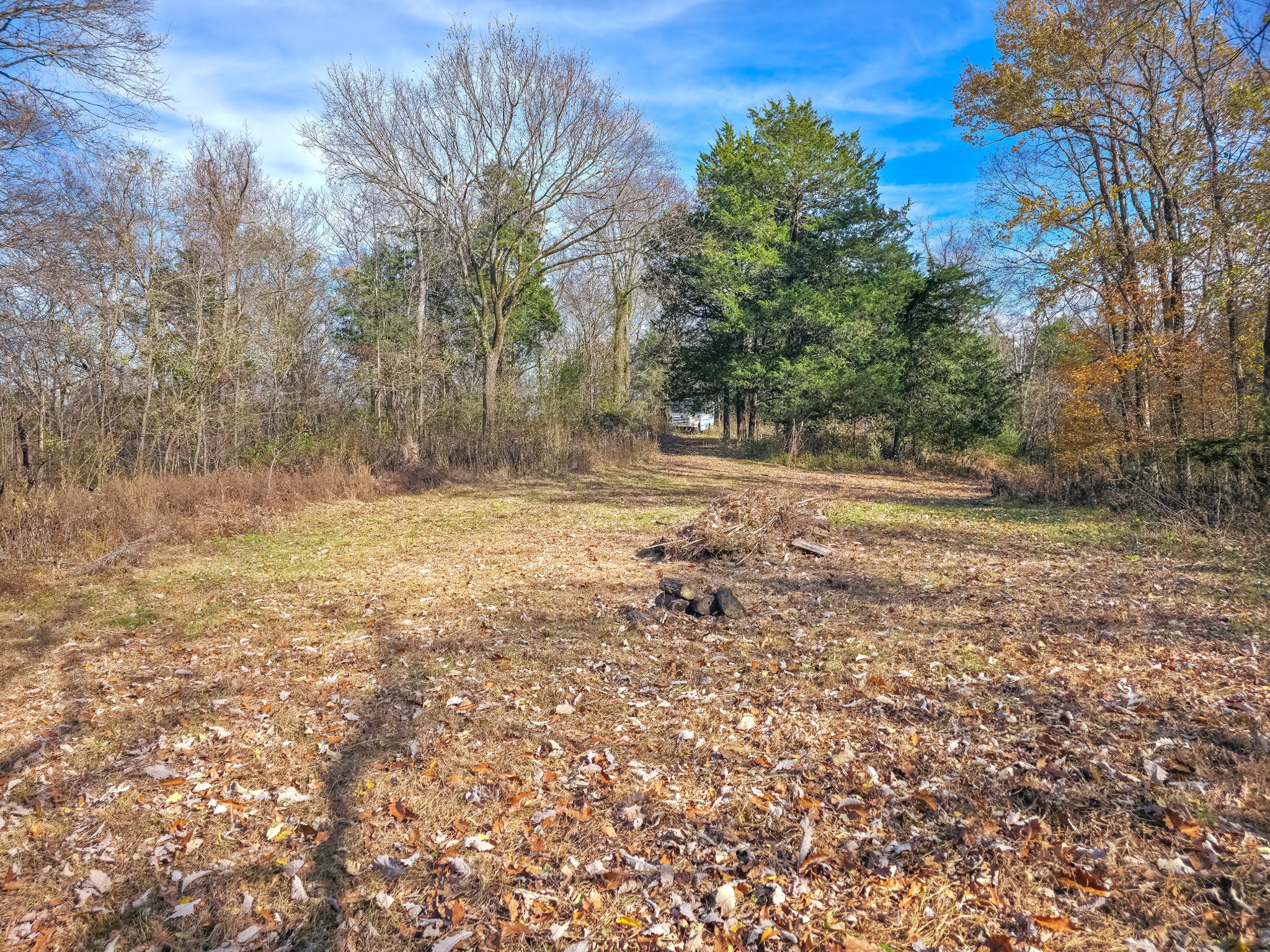 0 Toll Dugger Road Culleoka, TN 38451 - Photo 10 of 93 a backyard of a house with lots of green space