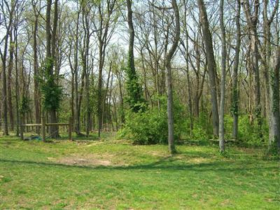 4090 Newtown Road Georgetown, KY 40324 - Photo 15 of 45 Mother Nature at your back door