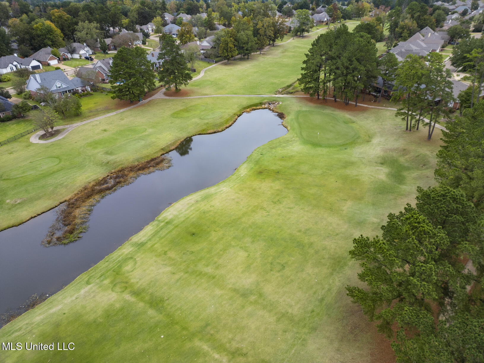 210 Haddon Circle Brandon, MS 39047 - Photo 33 of 33 Castlewoodsammenities4