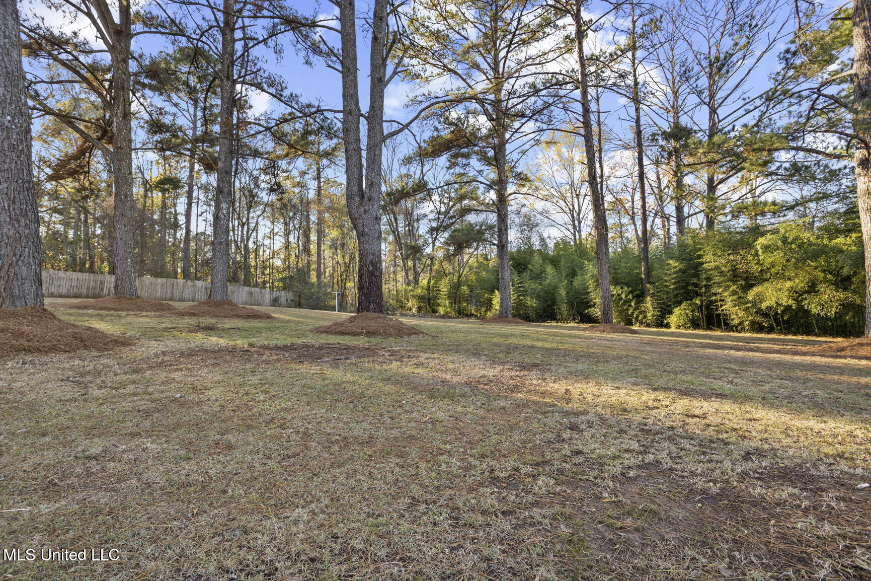 210 Haddon Circle Brandon, MS 39047 - Photo 35 of 39 210 Haddon Cir-30