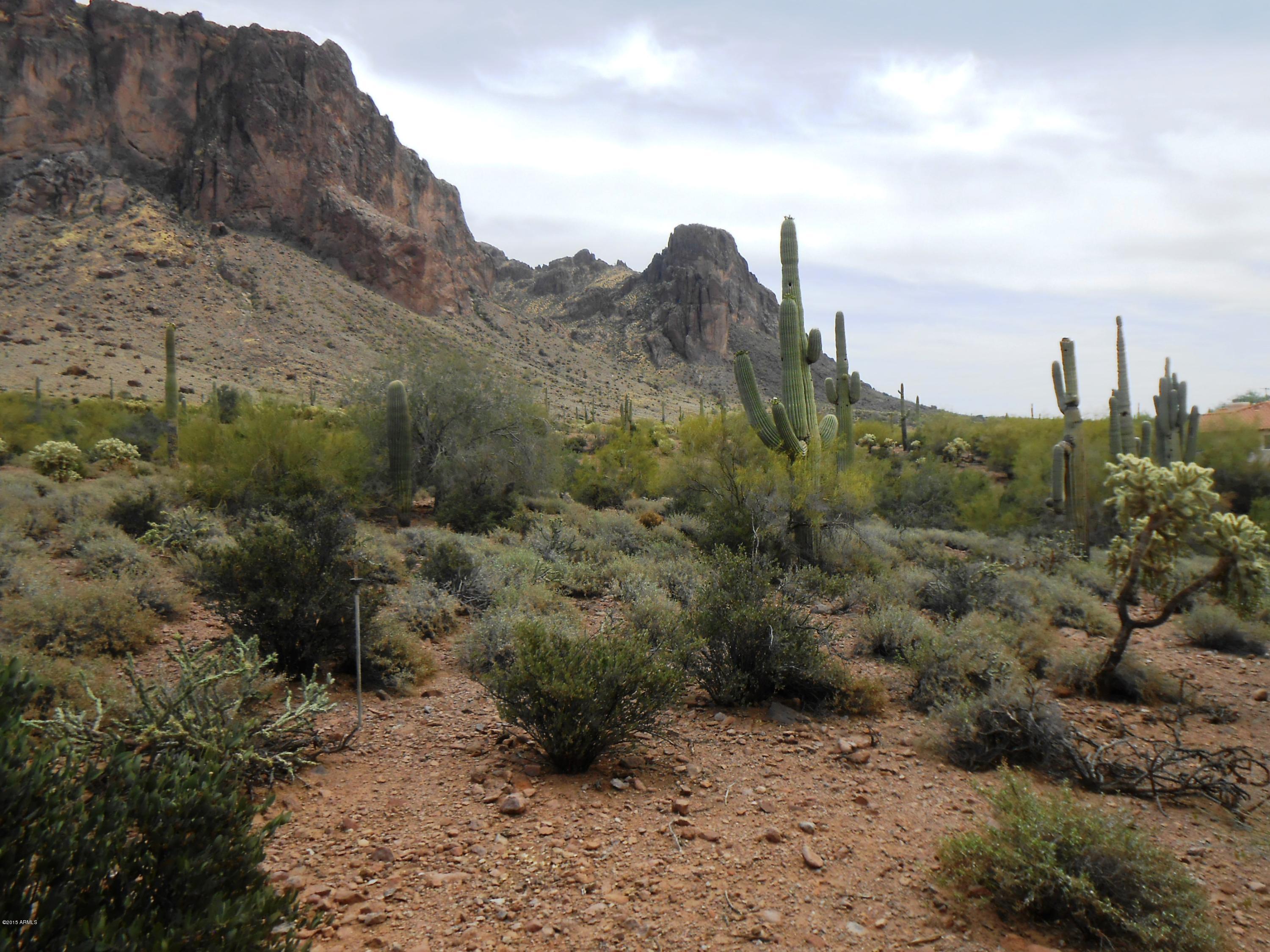 2485 North La Barge Road Apache Junction, AZ 85119 - Photo 25 of 34 DSCN6214