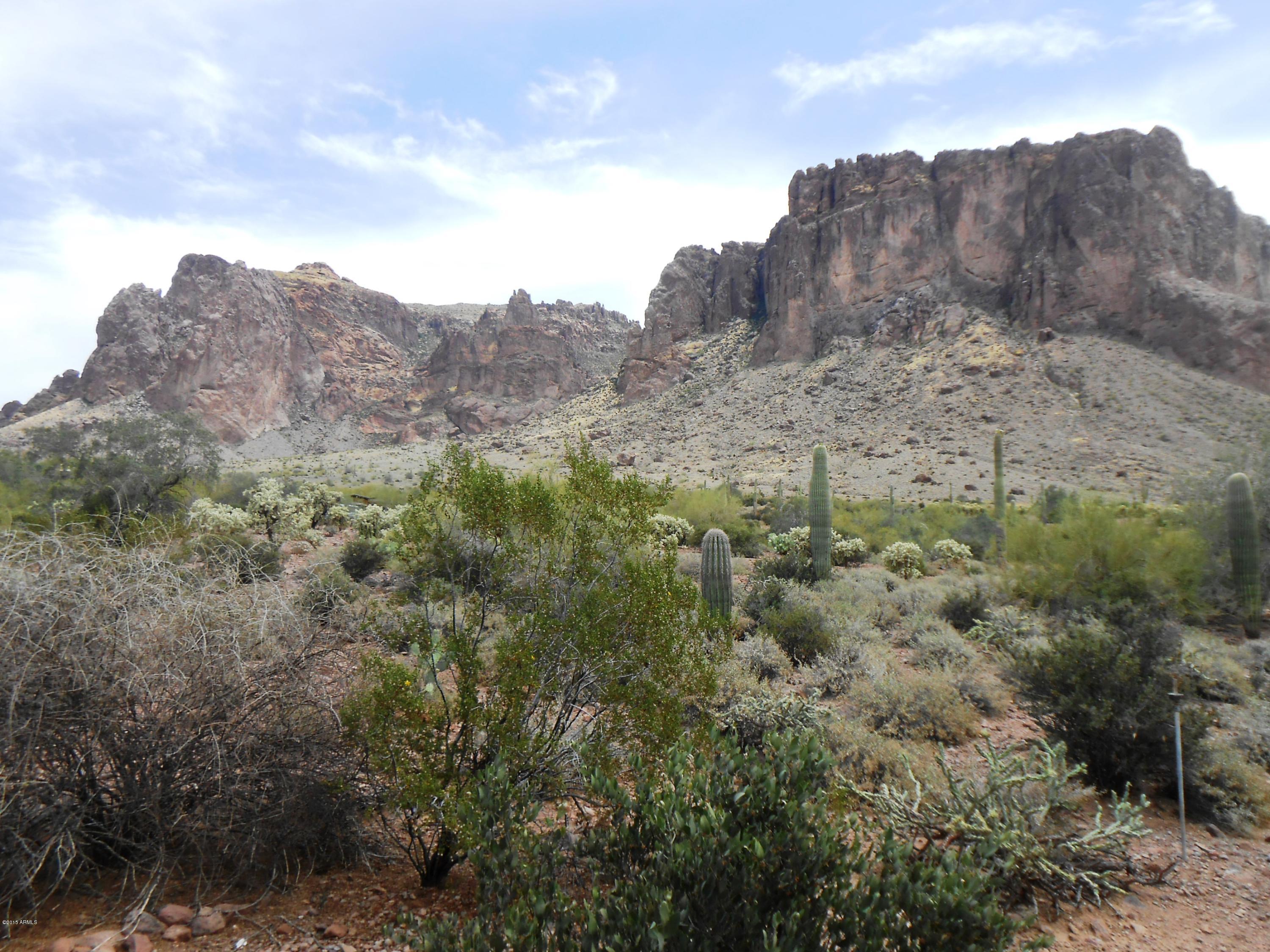 2485 North La Barge Road Apache Junction, AZ 85119 - Photo 26 of 34 DSCN6215