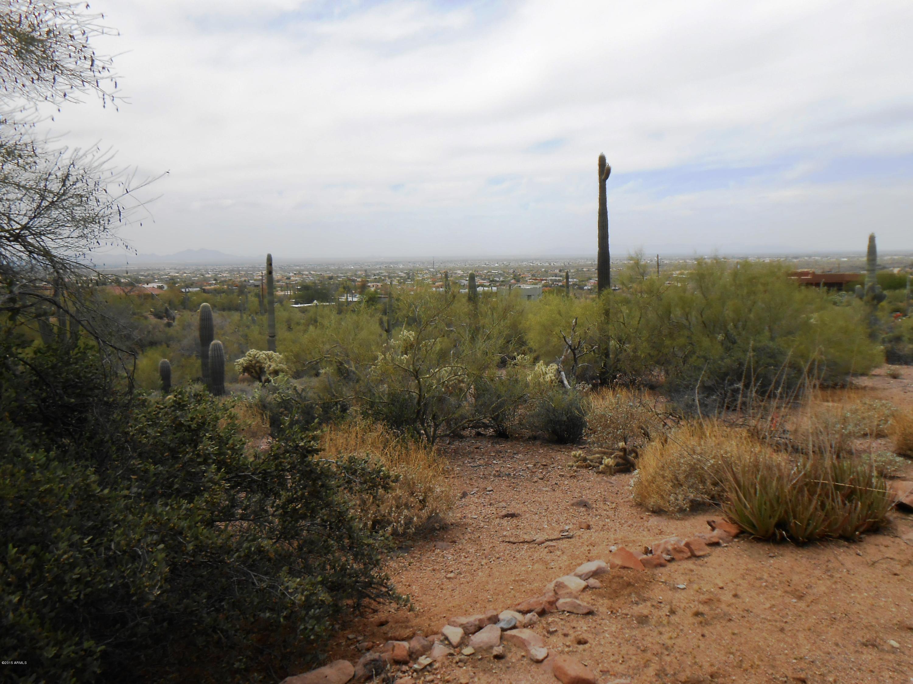 2485 North La Barge Road Apache Junction, AZ 85119 - Photo 27 of 34 DSCN6216