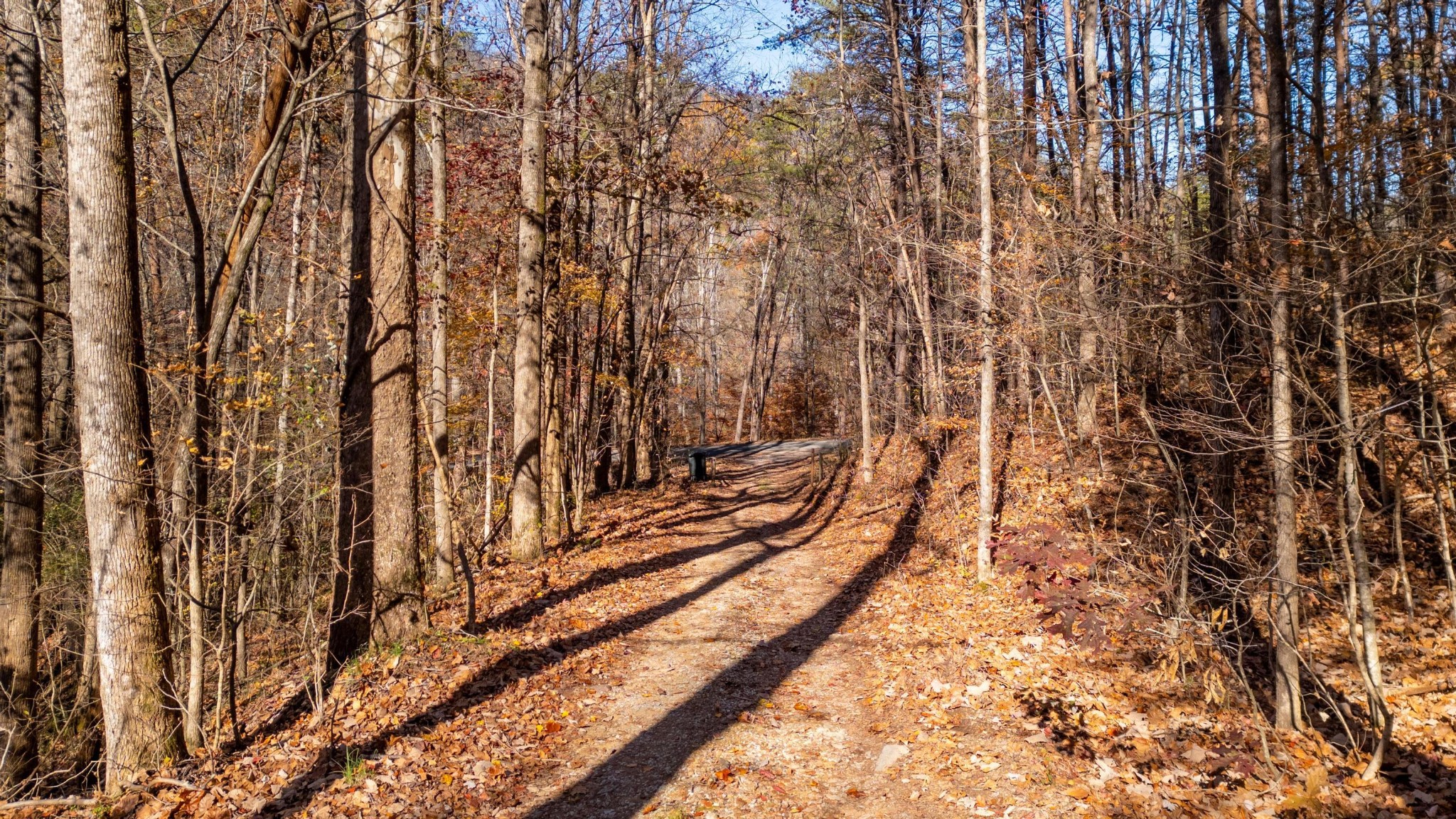 0 Powder Springs Circle Flintstone, GA 30725 - Photo 15 of 19 Gallery Image 15