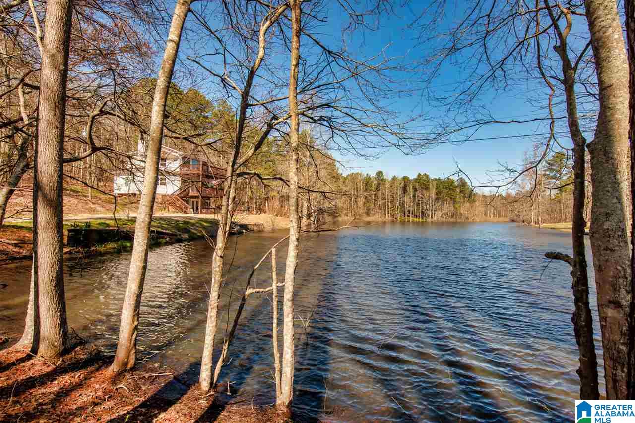 593 Lock 4 Road Riverside, AL 35135 - Photo 4 of 49