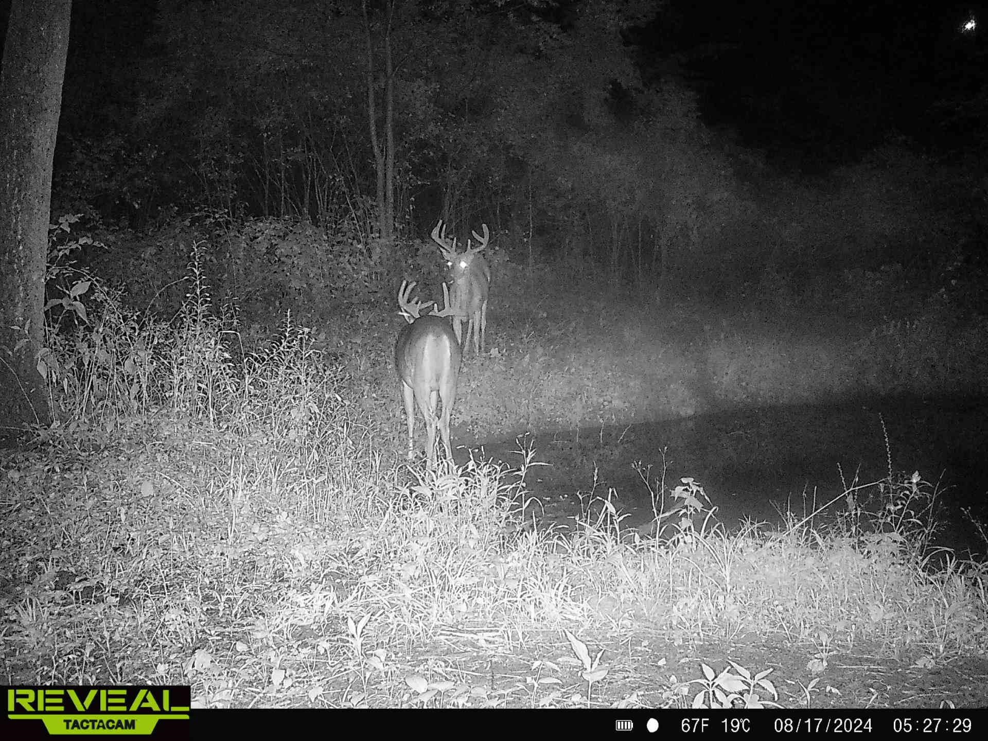 13781 Scenic Ridge Road Savanna, IL 61074 - Photo 23 of 31 Gallery Image 23