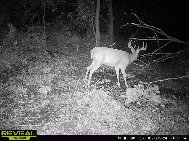 13781 Scenic Ridge Road Savanna, IL 61074 - Photo 24 of 31 Gallery Image 24