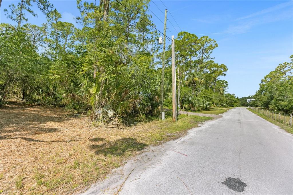 Mar Lisa Cove Road Lake Wales, FL 33898 - Photo 4 of 20