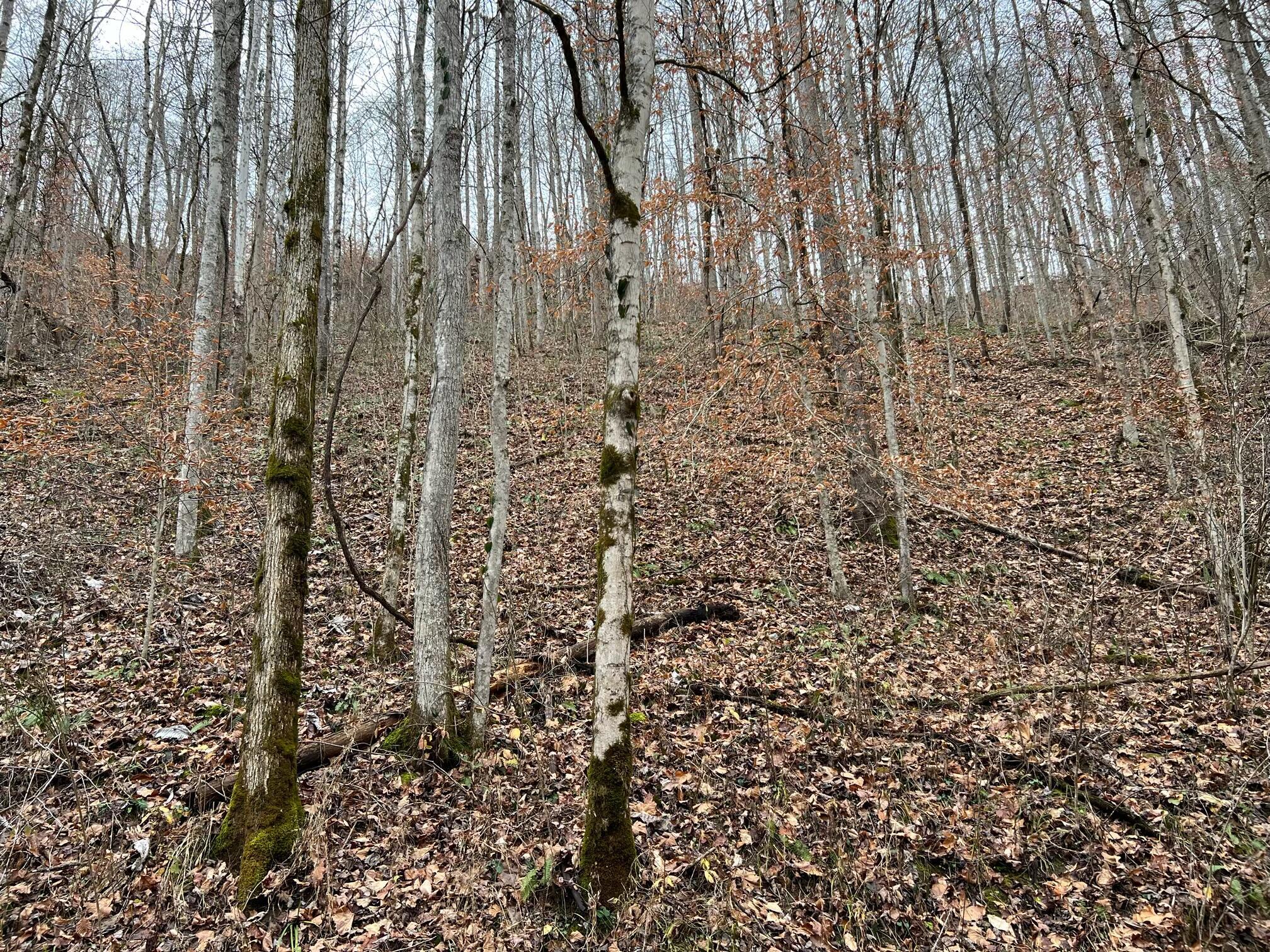 IMG_3731