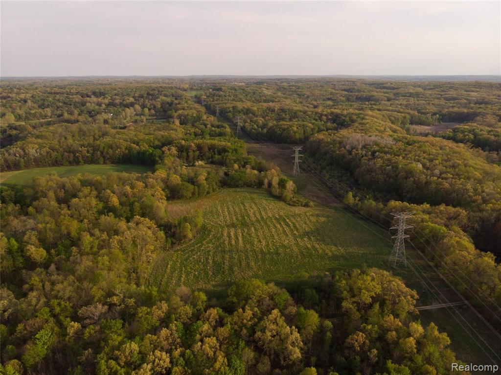 4789 Brocker Road Goodrich, MI 48438 - Photo 6 of 14