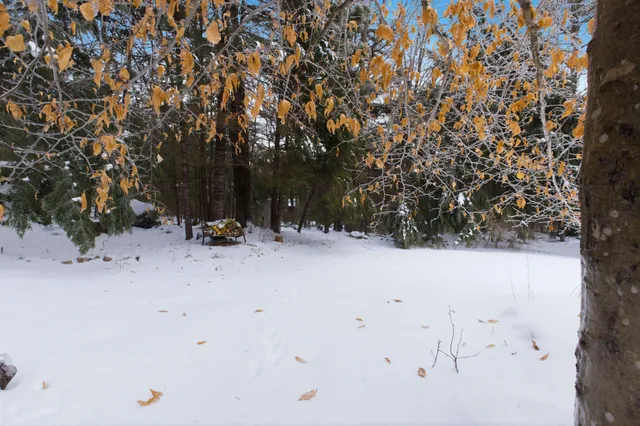 $279,000 | 295 Cheever Road, Wentworth, NH 03282