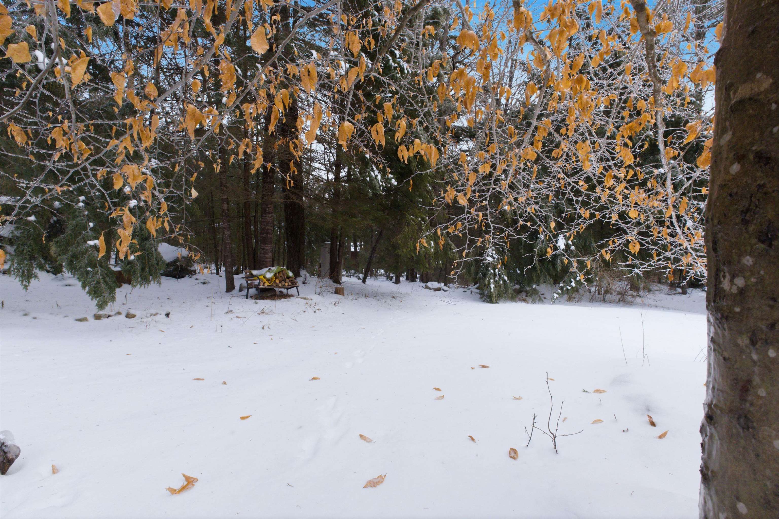 295 Cheever Road Wentworth, NH 03282 - Photo 35 of 46