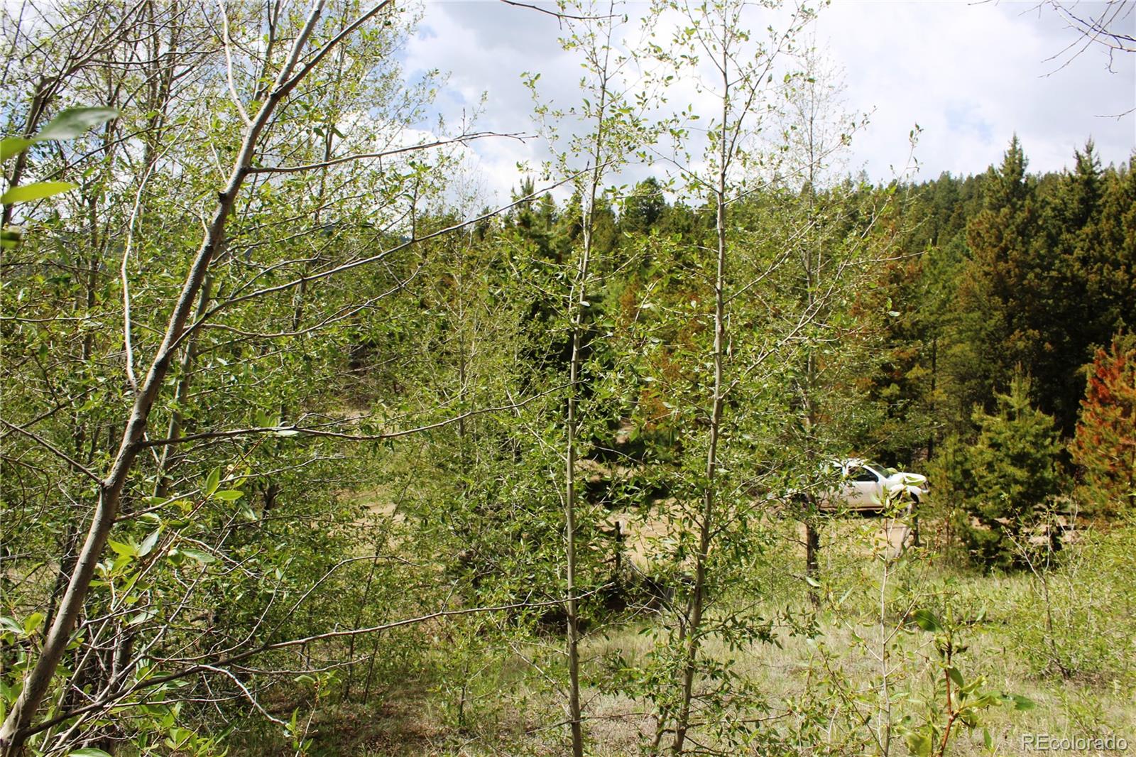 0 Quartz Hill Road Central City, CO 80427 - Photo 29 of 30