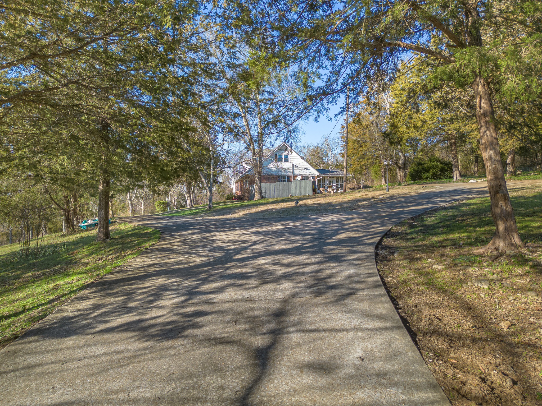1555 Amos Hamlett Road Pulaski, TN 38478 - Photo 3 of 80 a view of yard with tree