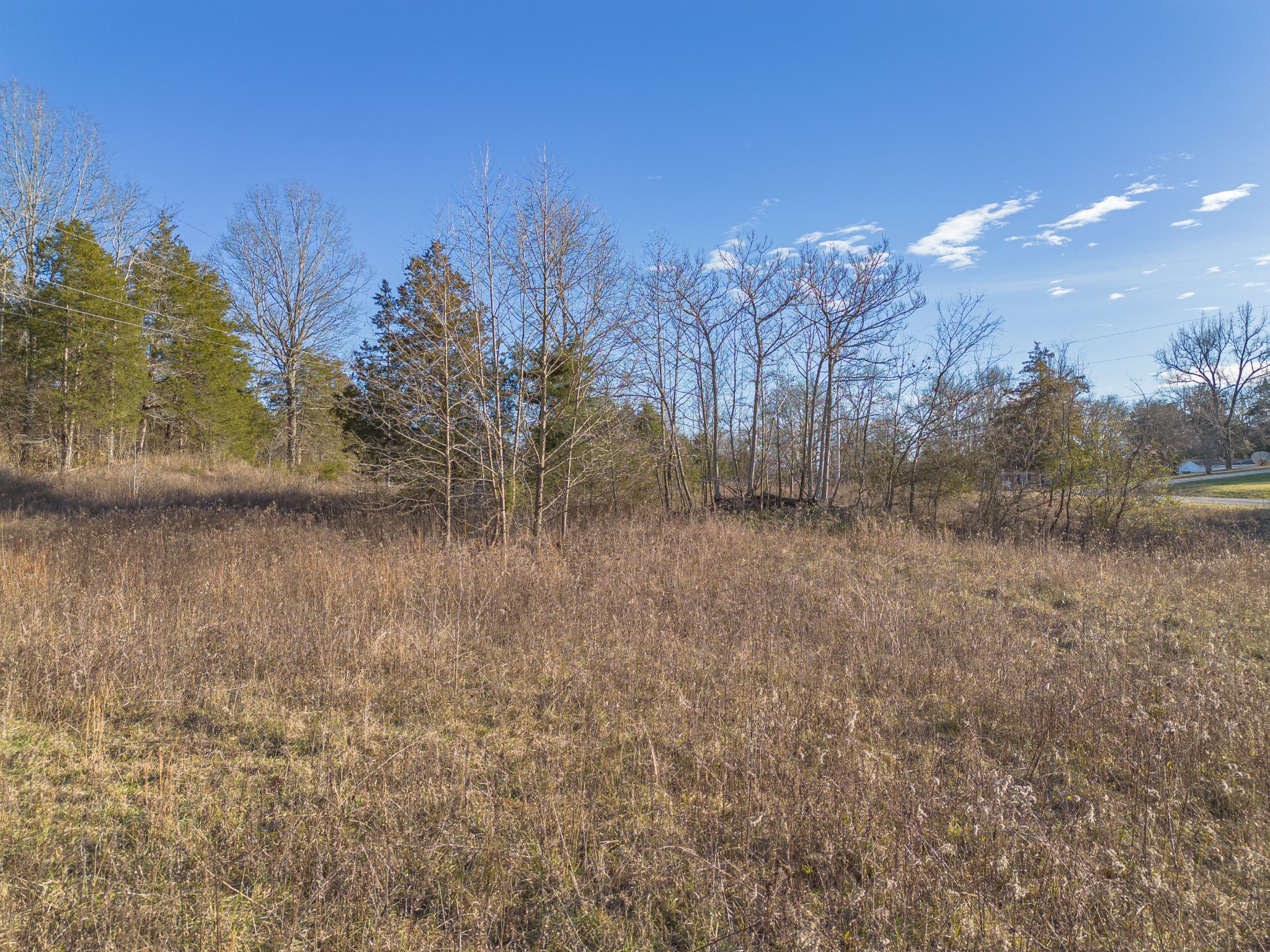 1555 Amos Hamlett Road Pulaski, TN 38478 - Photo 74 of 80 a view of lake with green space