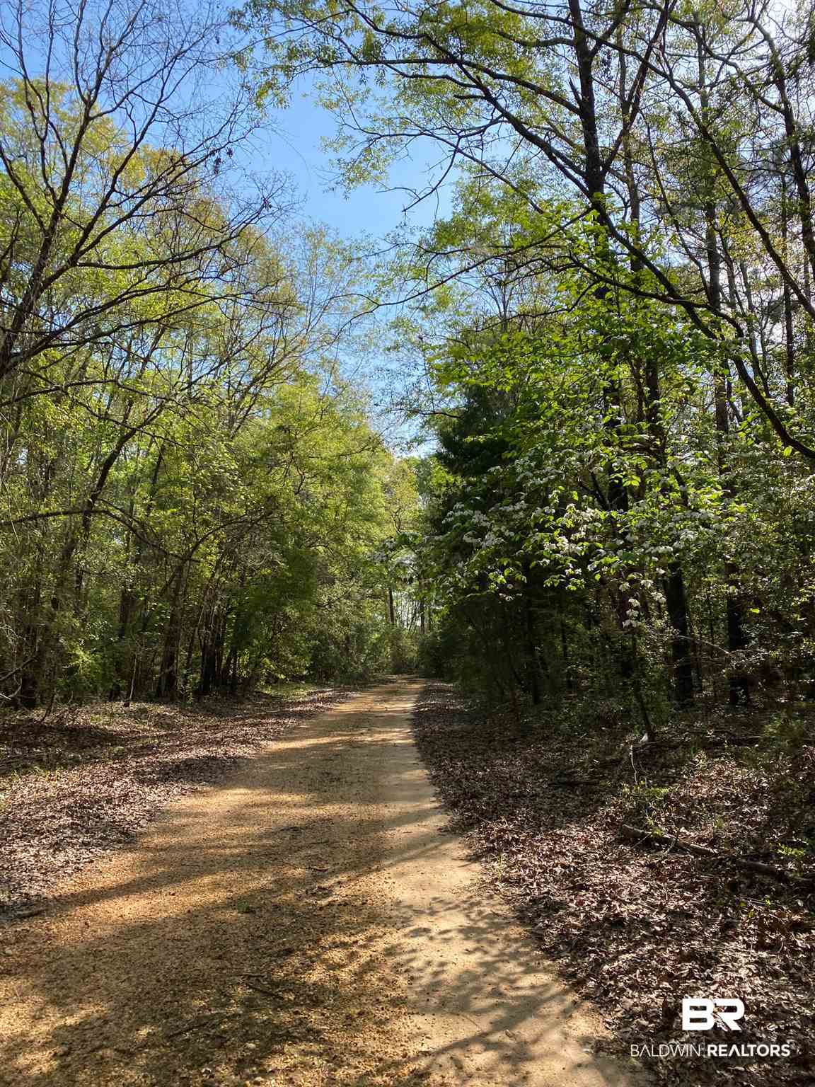 1069 Cemetery Road Range, AL 36473 - Photo 12 of 26