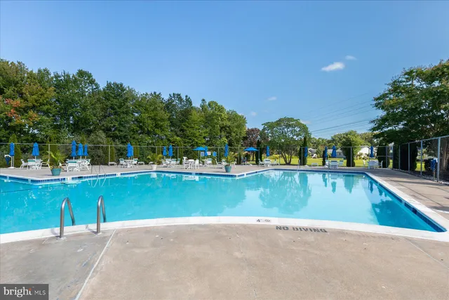 a view of a patio with table and chairs potted plants with palm trees