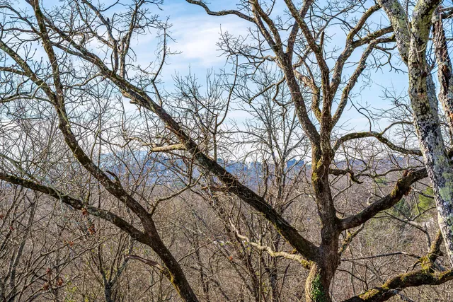 $534,900 | 3359 Northrop Street, Lupton City, TN 37351