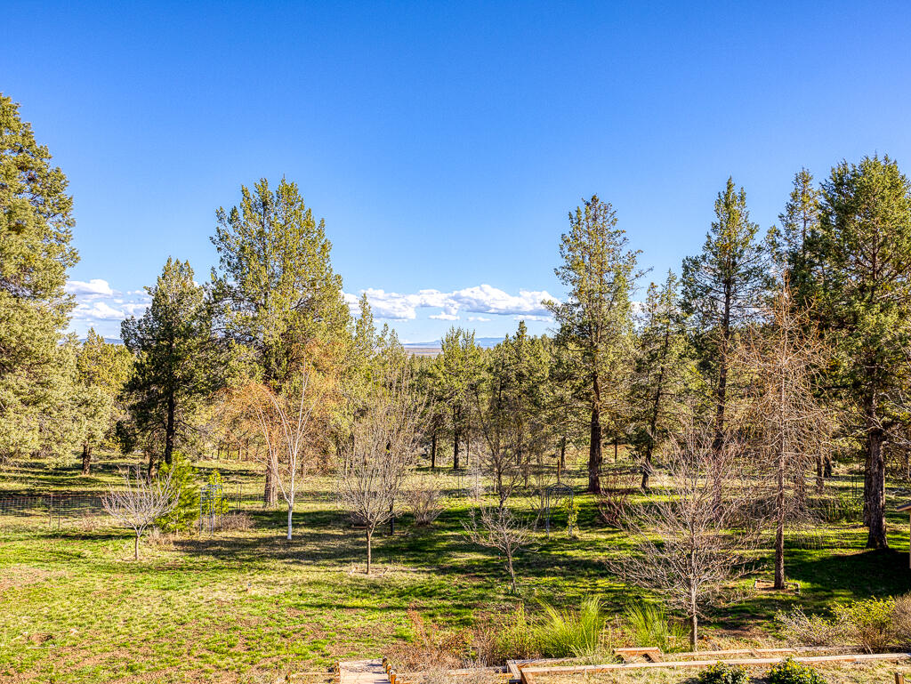 6331 Jake Road Klamath Falls, OR 97601 - Photo 66 of 75 Jake Rd-70