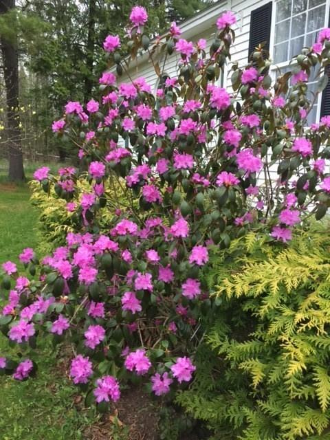 51 Strout Road Corinth, ME 04427 - Photo 25 of 26 Photo